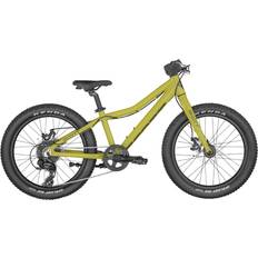 Scott Roxter 20 Green Kids Bike Kids Bike