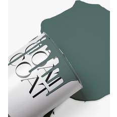 Paint Coat Walls Ceiling Green