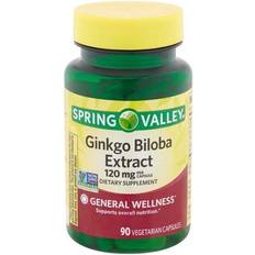 Spring Valley Ginkgo Biloba Extract