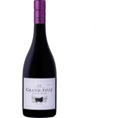 Vine Le Grand Noir Pinot Noir 2019 12,5%