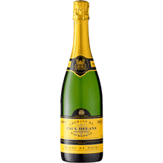 Crémant de Bourgogne Blanc de Noirs Brut Weiß