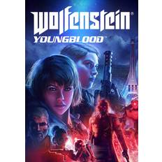 Bethesda Softworks Wolfenstein Youngblood Steam Key