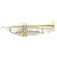 E Trumpeter Roy Benson TR403 Bb Trumpet, Lacquer