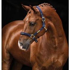 Grime Equestrian
