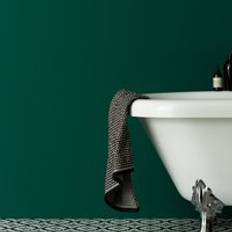 Paint Dunelm Emerald Eggshell Emulsion Green