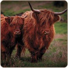 Orange Coasters iStyle Highland Cows Coaster