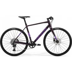 Herren - L City Bikes Merida Speeder 400 Hybrid Bike 2024 Purple Herrenfahrrad