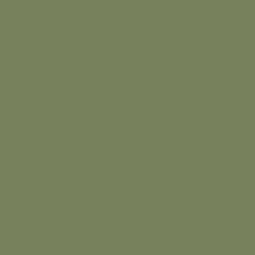 Paint Little Greene The Little Greene Paint Intelligent Matt Emulsion, Strong Wall Paint Green