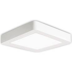 24W square Surface Mount cold