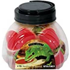 Jelly Red Fruit Lizard, Paket Om