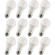 LED Lamps Viribright Viribright 9-Watt Daylight LED General-Purpose Bulb, Dozen 450109-ES