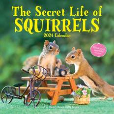 Rose Calendriers Workman Publishing The Secret Life Of Squirrels Calendar 2024