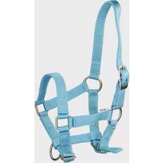 Foal Headcollar - Blue