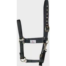 Harrys Horse Adjustable - Noir