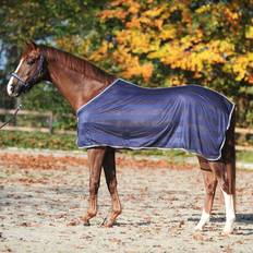 Stripe Fly Rug - Dark Red