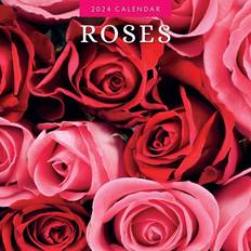 Roses 2024 Square Wall Calendar Red Robin Publishing