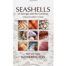 Seashells of Georgia and the Carolinas by Blair, Witherington, Dawn Witherington