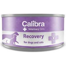Kruuse Hundar - Hundfoder Husdjur Kruuse Calibra VD Dog Cat Recovery 100 g
