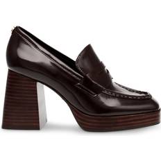 Steve Madden Brown Low Shoes Steve Madden Tame me Loafer DARK BROWN