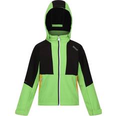 Soft Shell Jackets Regatta 11-12 Years, Jasmine Green/Black Childrens/Kids Haydenbury Soft Shell Jacket