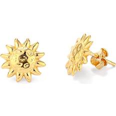 Stainless Steel Earrings Radiant Stainless Steel Earrings - Ladies'