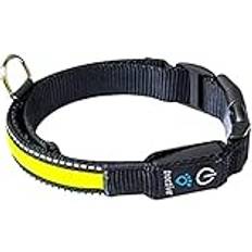 Tractive LED hundhalsband, Small, gUL