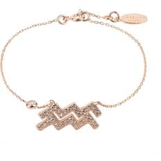 Latelita Zodiac Horoscope Star Sign Bracelet Aquarius Rose Gold One