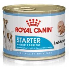 Royal Canin Starter Mousse Mother Babydog