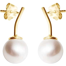 Drakenberg Sjölin Le Pearl Studs Gold