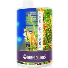 1800Flowers AquaPlants Trace Solution VI Aquarium Water