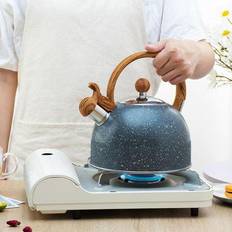 Premium Stainless Steel Tea Kettle 2.5L