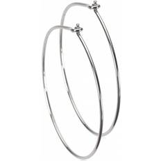 Blomdahl Oorbellen Blomdahl Natural Titanium Ear Ring -