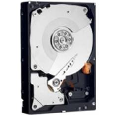 Dell G1XNT, 3.5, 1000 GB, 7200 rpm