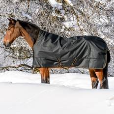 Bucas Hästtäcken på rea Bucas Outdoordecke 300g Irish Turnout High Neck Black/ Gold