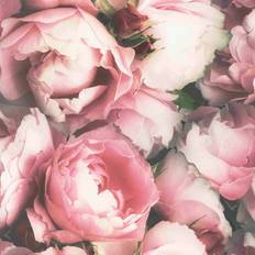 Fresco Blossom Pink Floral Wallpaper Was 12