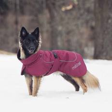 Kläder Rukka Pets Stormy Coat för hundar vinröd