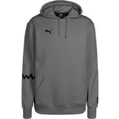 Puma Herren, Pullover, Hoops Team Hoodie, Grau