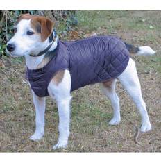 Cosipet Regenfester Step-In-Anzug Hunde