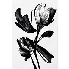 Pelcasa Black Flower Plakat 70x100cm