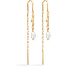 Tangled Earchains Förgyllt-Silver Sterling 925