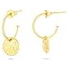 Stainless Steel Earrings Radiant Stainless Steel Ladies Earrings - 2 cm