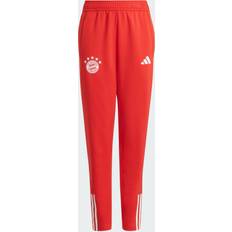 Kinderbekleidung Adidas FC Bayern München Trainingshose - Rouge