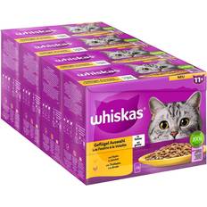 Whiskas Våtfoder Husdjur Whiskas 11+ Flerfärgad Kattmat 48 x 85 g