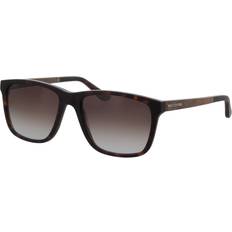 Focus Square Sunglasses - Havana