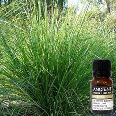 Ancient Wisdom 10 ml Vetivert Essential Oil