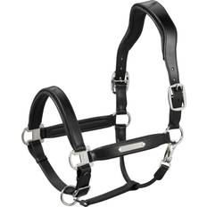 Eskadron Équitation Eskadron Basic Leather Stallion Halfter black Warmblut-NEU