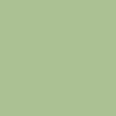Maling Little Greene Pea Green Absolute Matt Emulsion 2.5 L Vægmaling Grøn