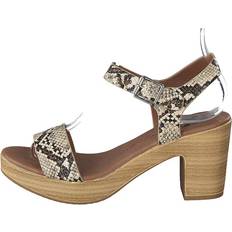 XTI 49889 Snake Brun