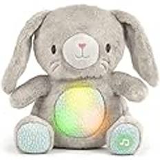 Ingenuity Plush Toy Heart to Hugs Sylvi Kaninbamse