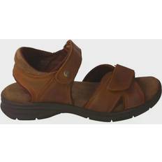 Panama Jack Shoes Panama Jack Sanders Basics C4